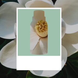 Tinh dầu nước hoa OUD & BERGAMOT 3