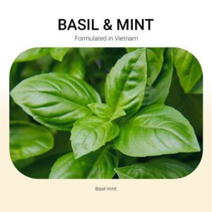 ba-tang-huong-tinh-dau-basil-mint