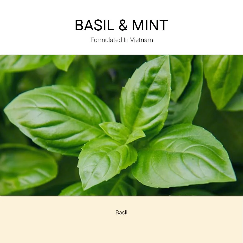ba-tang-huong-xit-thom-vai-basil-mint