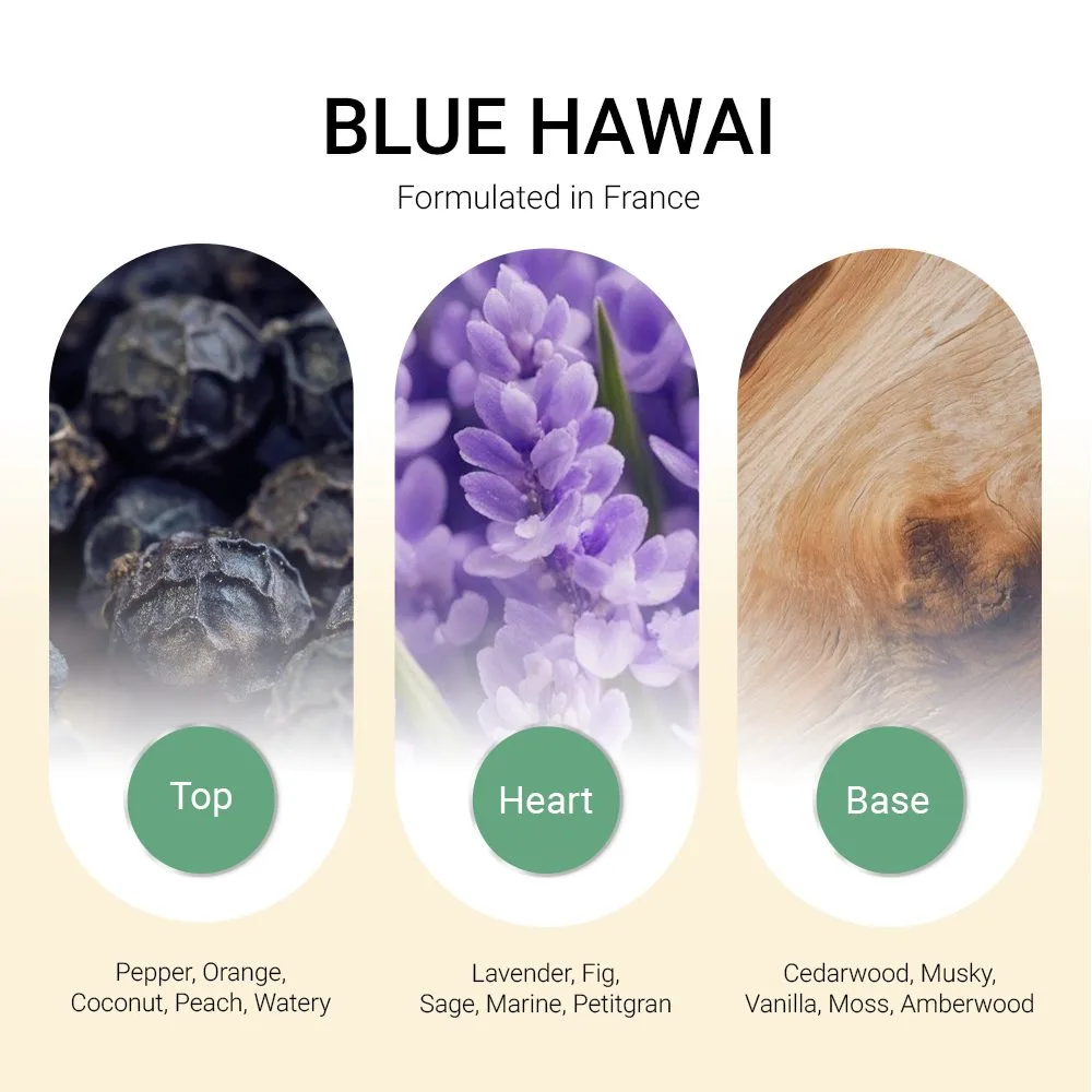 ba-tang-huong-tinh-dau-blue-hawai