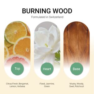 ba-tang-huong-tinh-dau-burning-wood