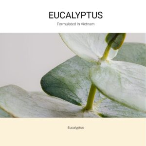 ba-tang-huong-xit-thom-vai-eucalyptus