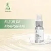 xit-thom-vai-fleur-de-frangipani