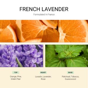 ba-tang-huong-xit-thom-vai-french-lavender