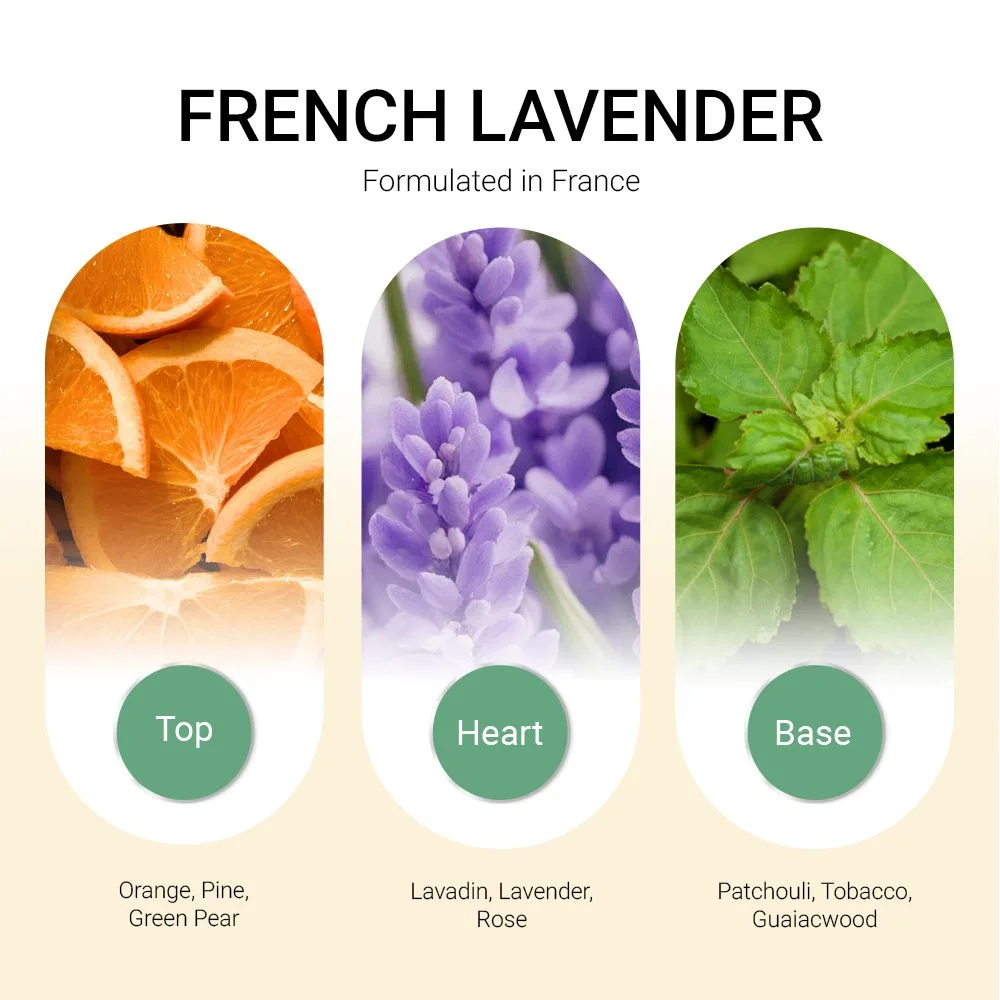 ba-tang-huong-tinh-dau-french-lavender
