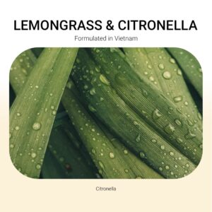 ba-tang-huong-tinh-dau-lemongrass-citronella