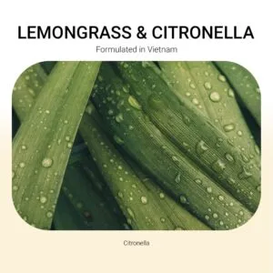 ba-tang-huong-tinh-dau-lemongrass-citronella