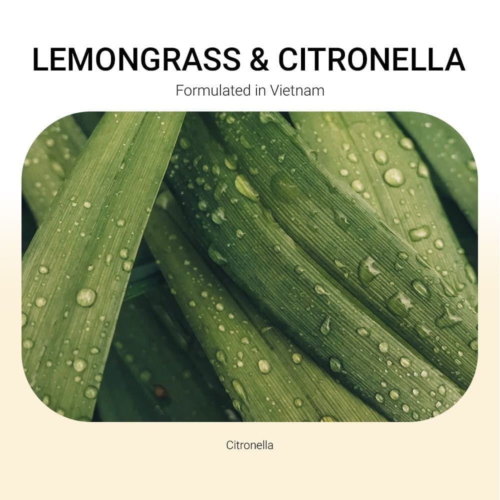 ba-tang-huong-tinh-dau-lemongrass-citronella