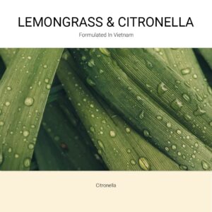 ba-tang-huong-xit-thom-vai-lemongrass-citronella