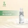 xit-thom-vai-osmanthus-blossom