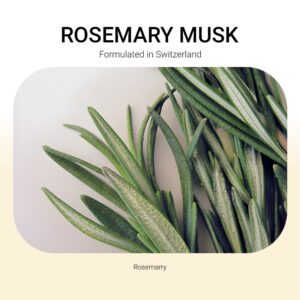 tang-huong-tinh-dau-rosemary-musk