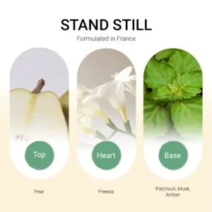 ba-tang-huong-tinh-dau-stand-still