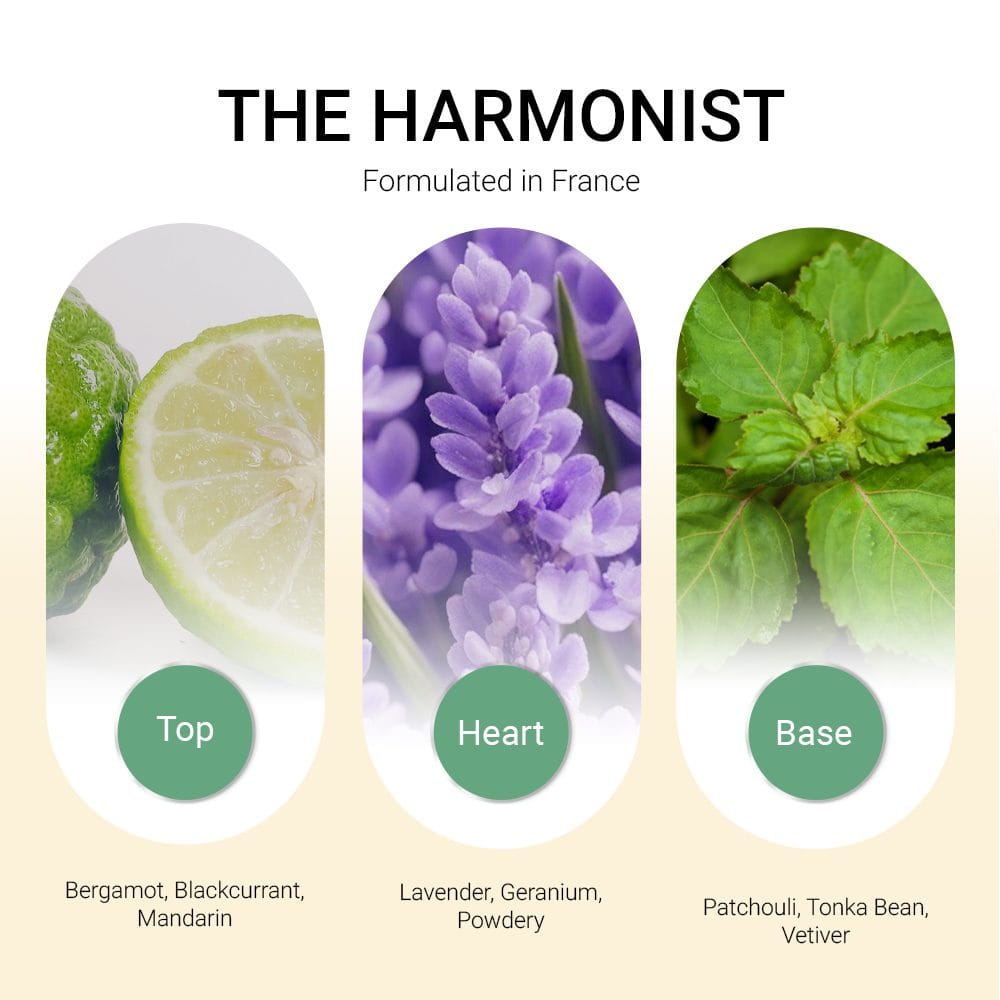 ba-tang-huong-tinh-dau-the-harmonist
