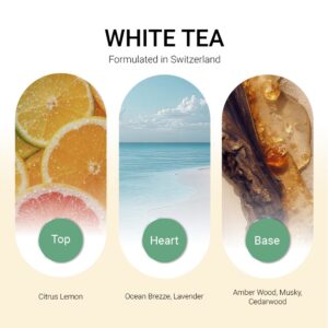 ba-tang-huong-tinh-dau-white-tea