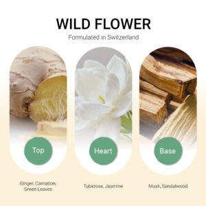 ba-tang-huong-tinh-dau-wild-flower