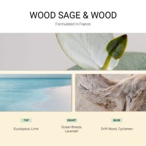 ba-tang-huong-xit-thom-vai-wood-sage-wood