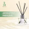 tan-huong-absolutely-fabulous