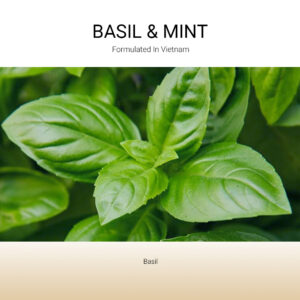 tang-huong-basil-mint