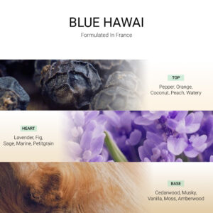 ba-tang-huong-tan-huong-blue-hawai