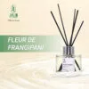 tan-huong-fleur-de-frangipani