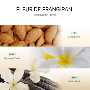 ba-tang-huong-tan-huong-fleur-de-frangipani