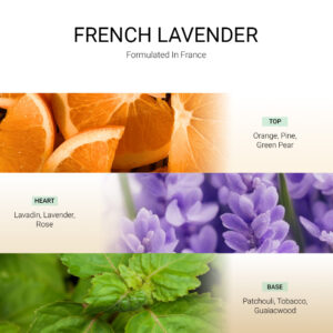 ba-tang-huong-tan-huong-french-lavender