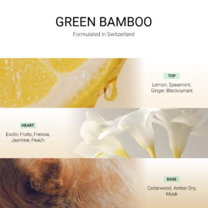 ba-tang-huong-tan-huong-green-bamboo