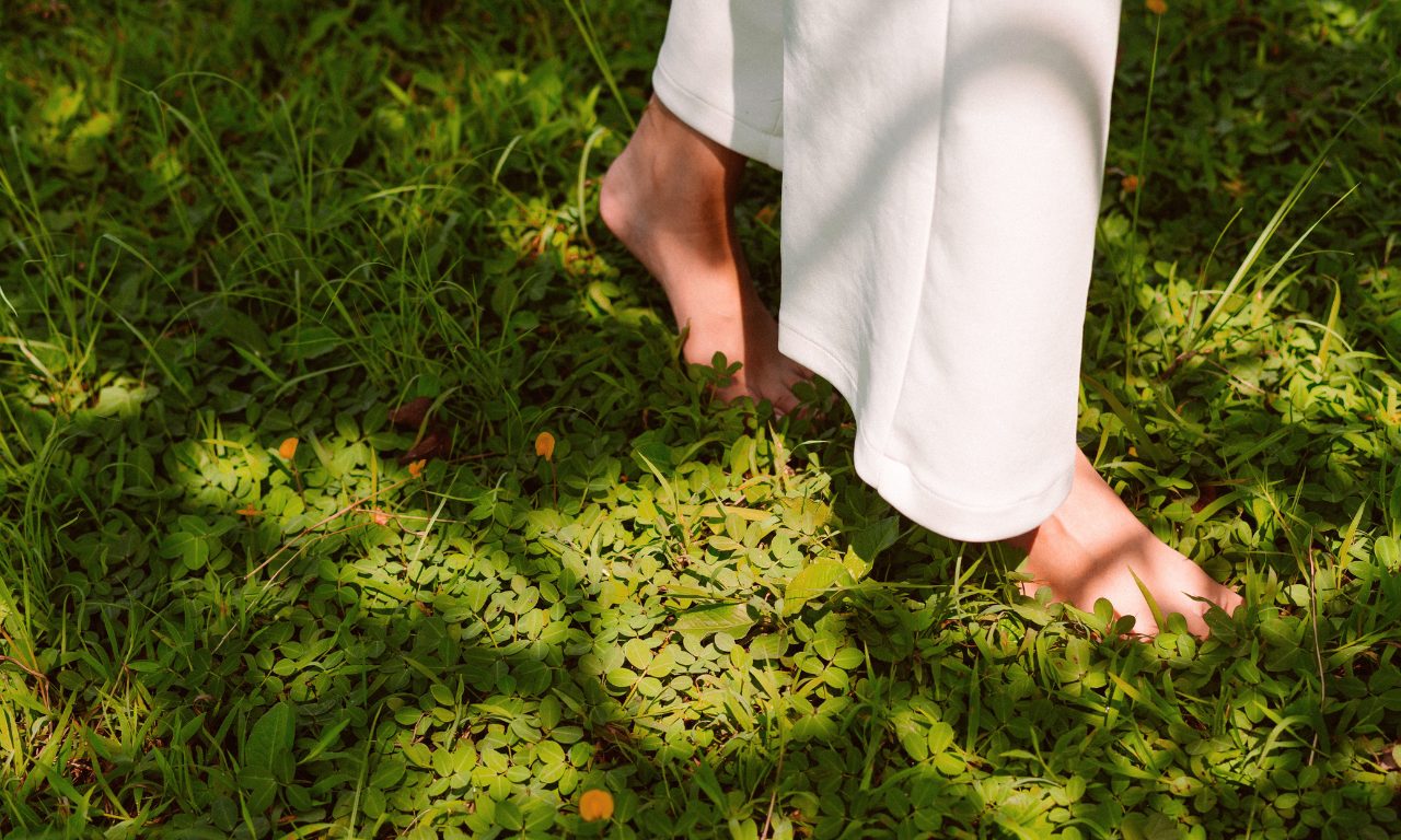 danh-muc-tinh-dau-thien-nhien-natural-collection-1