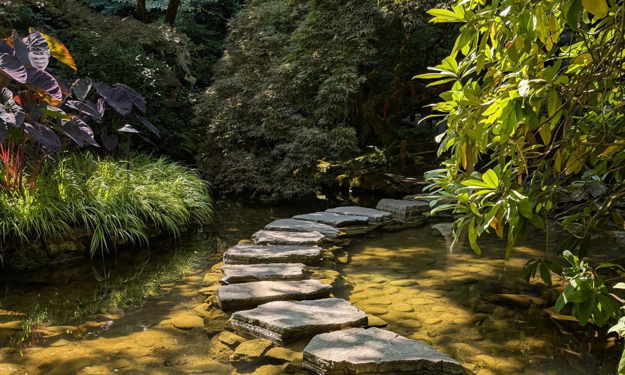 danh-muc-zen-collection-tinh-dau-nuoc-hoa-1