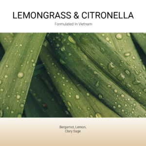ba-tang-huong-tan-huong-lemongrass-citronella