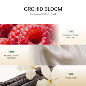 ba-tang-huong-tan-huong-orchid-bloom