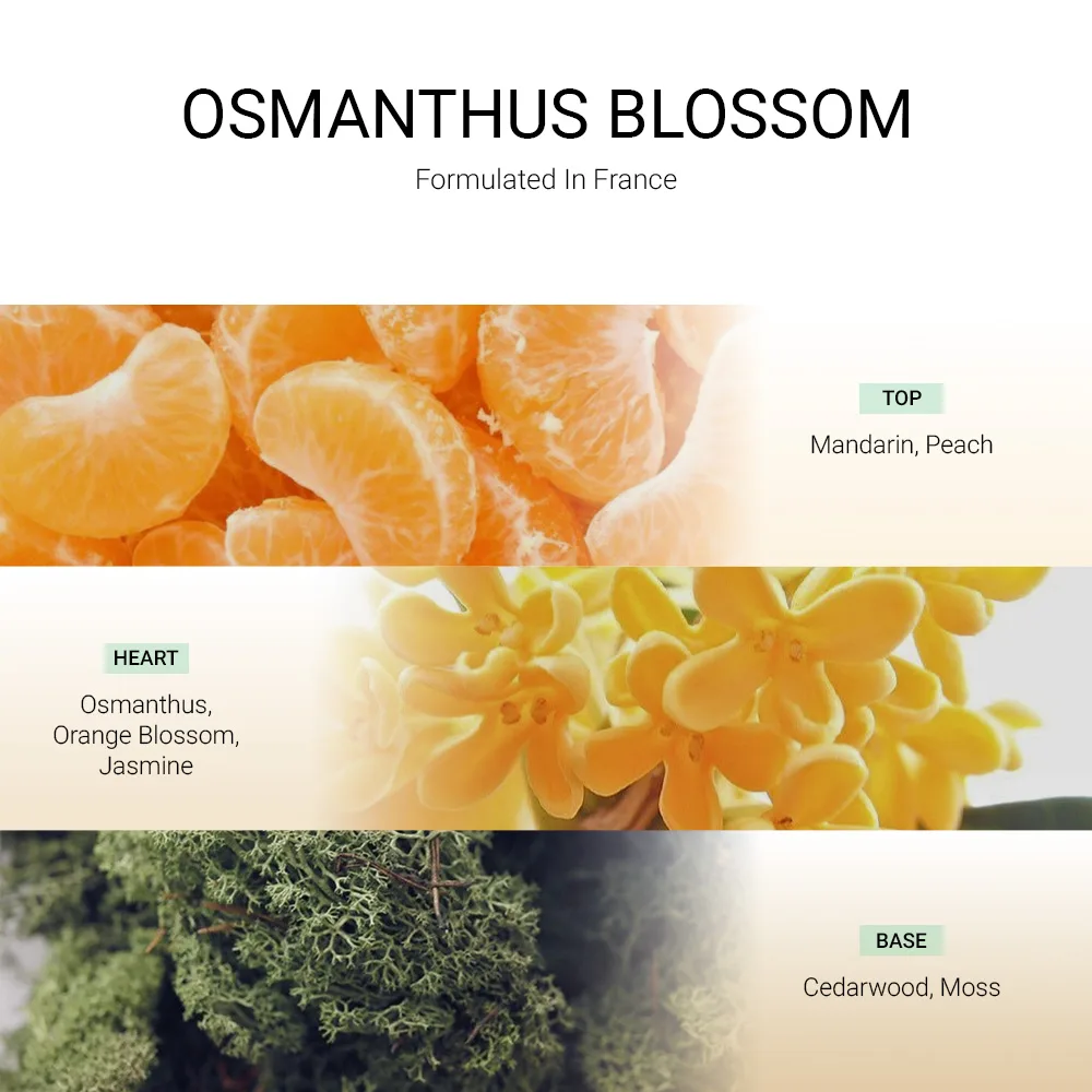 ba-tang-huong-tan-huong-osmanthus-blossom