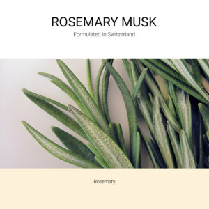 ba-tang-huong-tan-huong-rosemary-musk