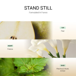 ba-tang-huong-tan-huong-stand-still