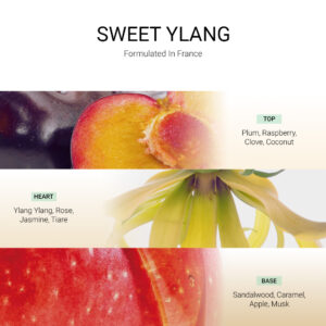 ba-tang-huong-tan-huong-sweet-ylang