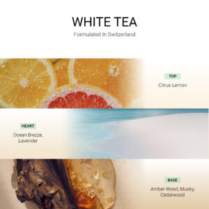 ba-tang-huong-tan-huong-white-tea