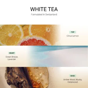 ba-tang-huong-tan-huong-white-tea