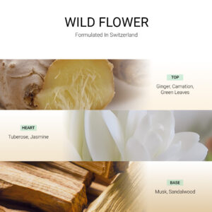 ba-tang-huong-tan-huong-wild-flower