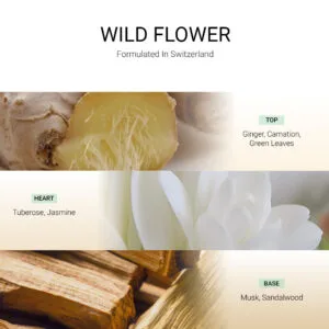 ba-tang-huong-tan-huong-wild-flower