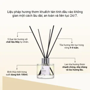 dac-diem-lo-khuech-tan-huong-thom