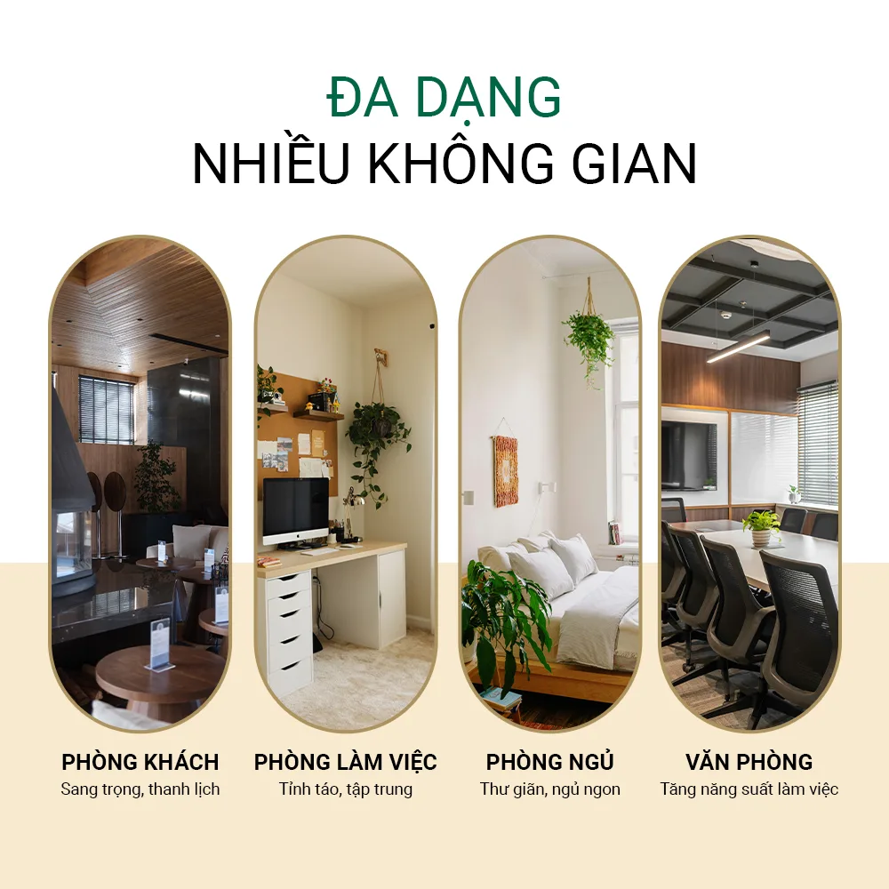 ung-dung-lo-khuech-tan-huong-thom