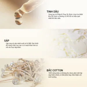cac-thanh-phan-ve-nen-thom