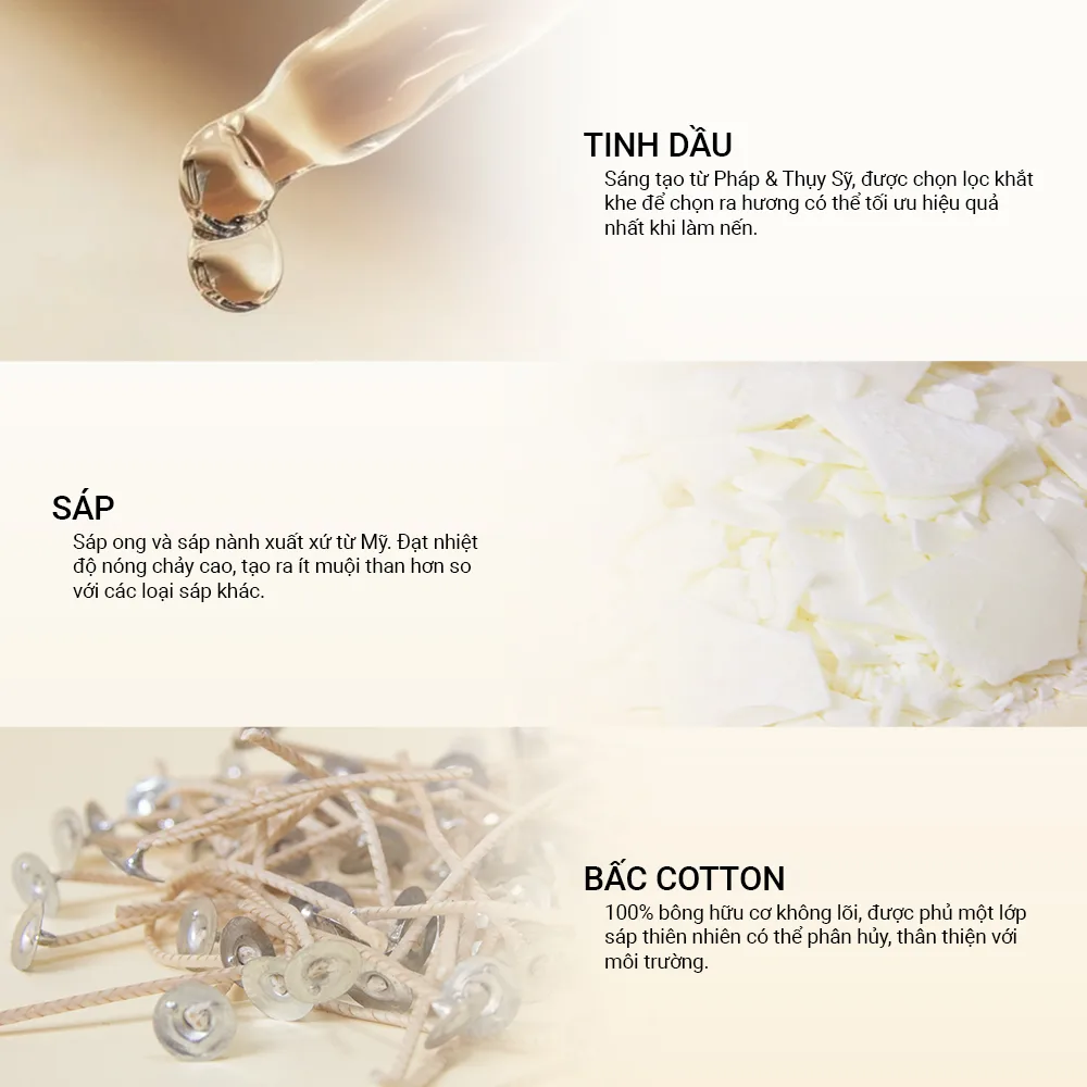 cac-thanh-phan-ve-nen-thom