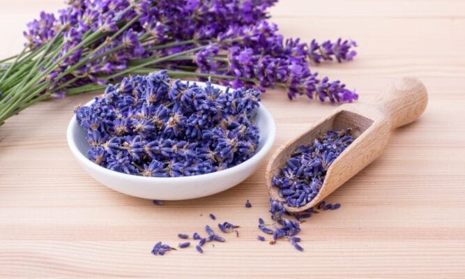 huong-lavender